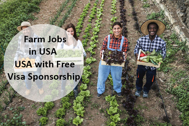 Farm Jobs in USA with Free Visa Sponsorship | Apply Now